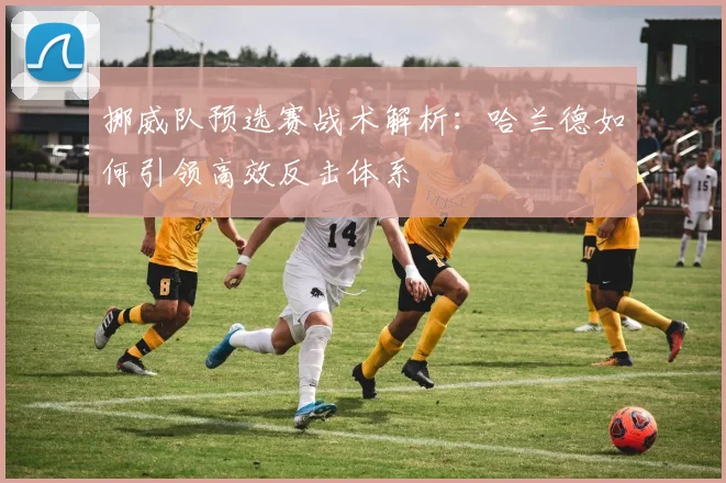 挪威队预选赛战术解析：哈兰德如何引领高效反击体系